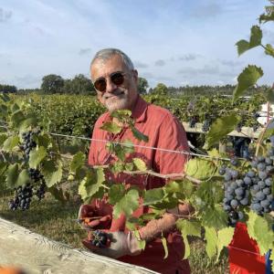 John Mazis, Professor of History