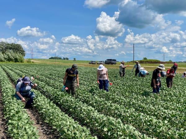 HUCAS in Mower County