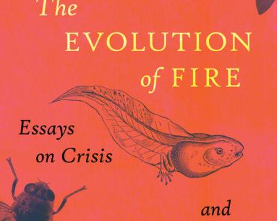 Book evolution of fire