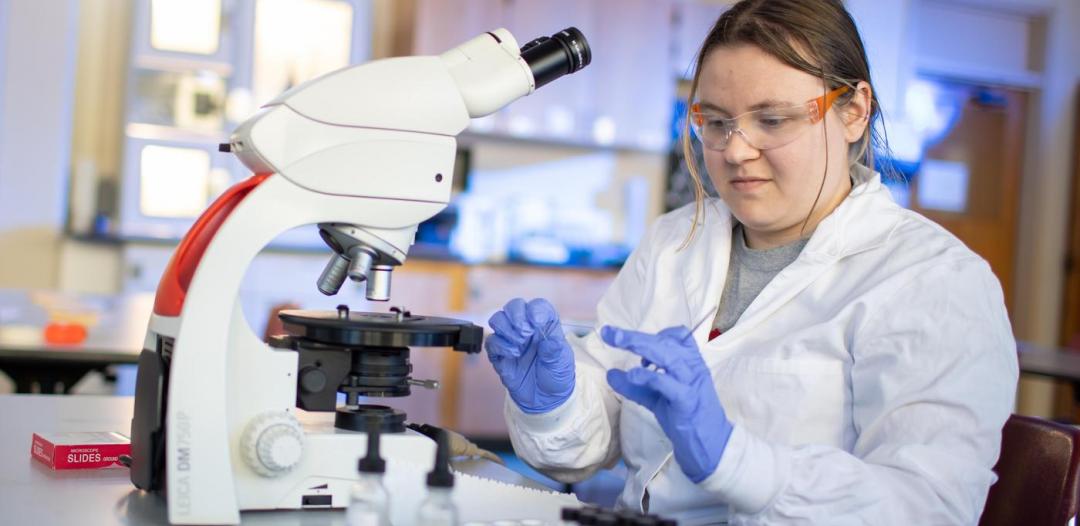 forensics microscope